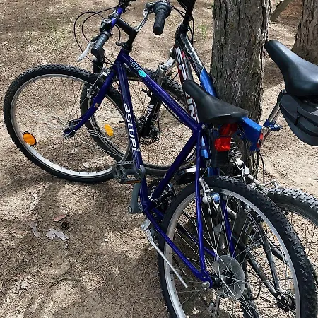 Appartamento Vera Vinci